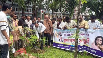 ডা. জুবাইদার জন্মবার্ষিকীতে গোলাপগঞ্জে বৃক্ষরোপণ কর্মসূচি