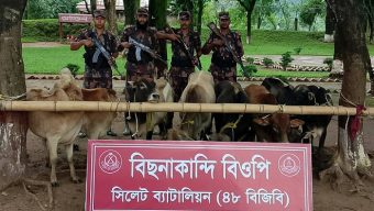সিলেট ও সুনামগঞ্জে ৪৩ লাখ টাকার চোরাই পণ্য জব্দ