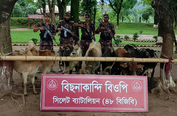 সিলেট ও সুনামগঞ্জে ৪৩ লাখ টাকার চোরাই পণ্য জব্দ