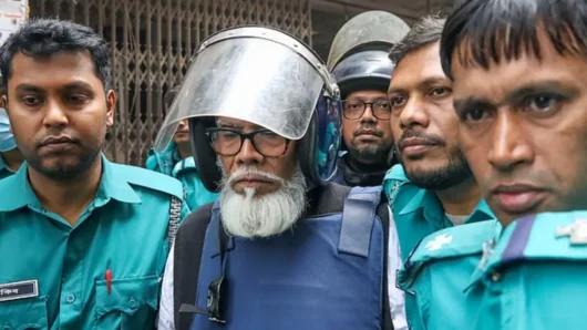 ৪ দিন রিমান্ডে সালমান এফ রহমান