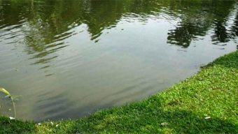 বিশ্বনাথে পানিতে ডুবে শিশুর মৃত্যু