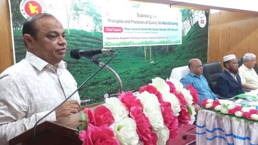 শ্রীমঙ্গলে টি টেস্টিং ও কোয়ালিটি কন্ট্রোল প্রশিক্ষণ কোর্সের উদ্বোধন