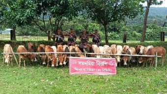 গোয়াইনঘাট  সীমান্তে অভিযানে ১ কোটি ২০ লক্ষাধিক টাকার পণ্য জব্দ