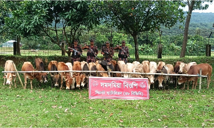গোয়াইনঘাট  সীমান্তে অভিযানে ১ কোটি ২০ লক্ষাধিক টাকার পণ্য জব্দ