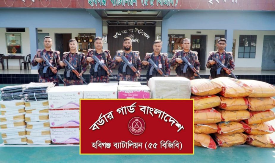 মাধবপুরে নাড়ে তিন কোটি টাকার ভারতীয় পণ্য আটক