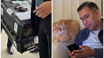 তারেক রহমানের সঙ্গে দেশে ফিরল জেবুও