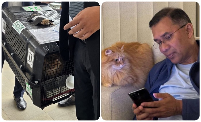 তারেক রহমানের সঙ্গে দেশে ফিরল জেবুও