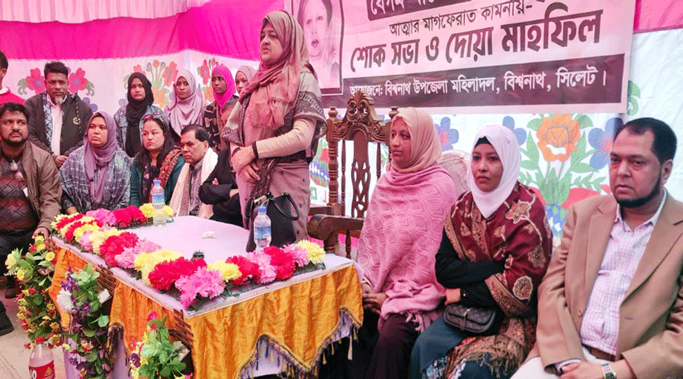 পরিপূর্ণ গণতান্ত্রিক দেশ গঠনে বিএনপির বিকল্প নেই: লুনা