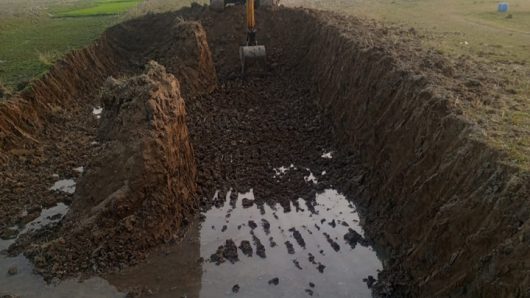 শান্তিগঞ্জে অযিান:  ২ লক্ষ টাকা জরিমানা, ৬ মাসের জেল