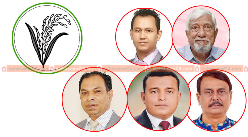 সুনামগঞ্জের পাঁচটি আসনেই বিএনপির জয়