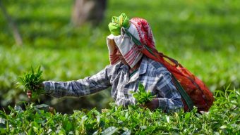 বন্ধুর সঙ্গে বেড়াতে গিয়ে ধর্ষণের শিকার তরুণী